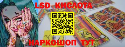дмт Славгород