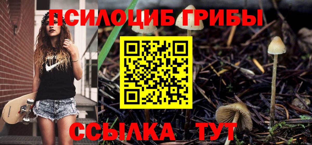 Галлюциногенные грибы мухоморы  Псилоцибиновые грибы Psilocybe  Вход с VPN  Ревда 
